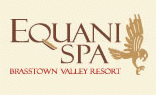 Equani Spa Brasstown Valley Resort